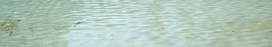 DSC00565.jpg